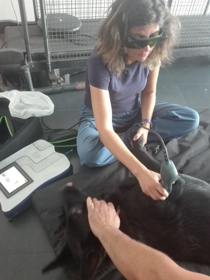 Laserterapia